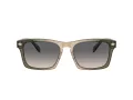 Coach Cr628 Sonnenbrille HC 8397U 5797G9