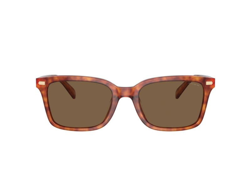 Coach Cr630 Sonnenbrille HC 8398U 577473