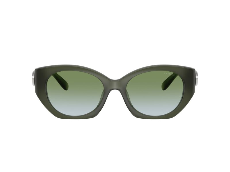 Coach Cw194 Sonnenbrille HC 8407U 584017