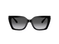 Coach Cw195 Sonnenbrille HC 8408U 5002T3