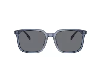 Coach Cw405 Sonnenbrille HC 8411U 582087