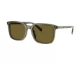 Coach Cw405 Sonnenbrille HC 8411U 5848S7