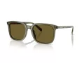 Coach Cw405 Sonnenbrille HC 8411U 5848S7