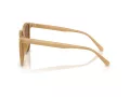 Coach Cw419 Sonnenbrille HC 8413BD 585473