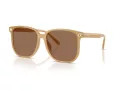 Coach Cw419 Sonnenbrille HC 8413BD 585473
