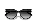 Coach Cw428 Sonnenbrille HC 8414BD 50023C