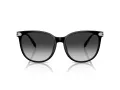 Coach Cw428 Sonnenbrille HC 8414BD 50023C