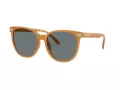 Coach Cw428 Sonnenbrille HC 8414BD 585580