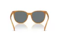 Coach Cw428 Sonnenbrille HC 8414BD 585580