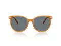 Coach Cw428 Sonnenbrille HC 8414BD 585580