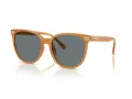 Coach Cw428 Sonnenbrille HC 8414BD 585580