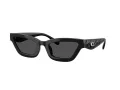 Coach Cad28 Sonnenbrille HC 8420U 500287