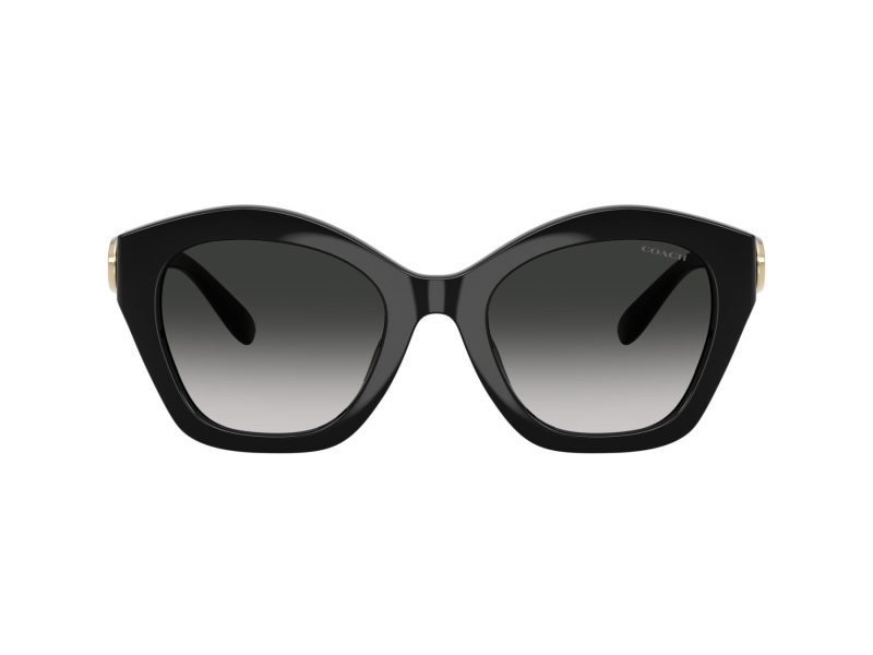 Coach Cad31 Sonnenbrille HC 8421U 50023C