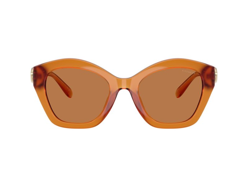Coach Cad31 Sonnenbrille HC 8421U 564773