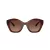 Coach Cad31 Sonnenbrille HC 8421U 5841T5