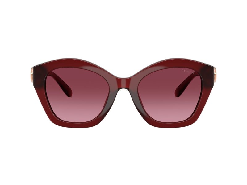 Coach Cad31 Sonnenbrille HC 8421U 58708H
