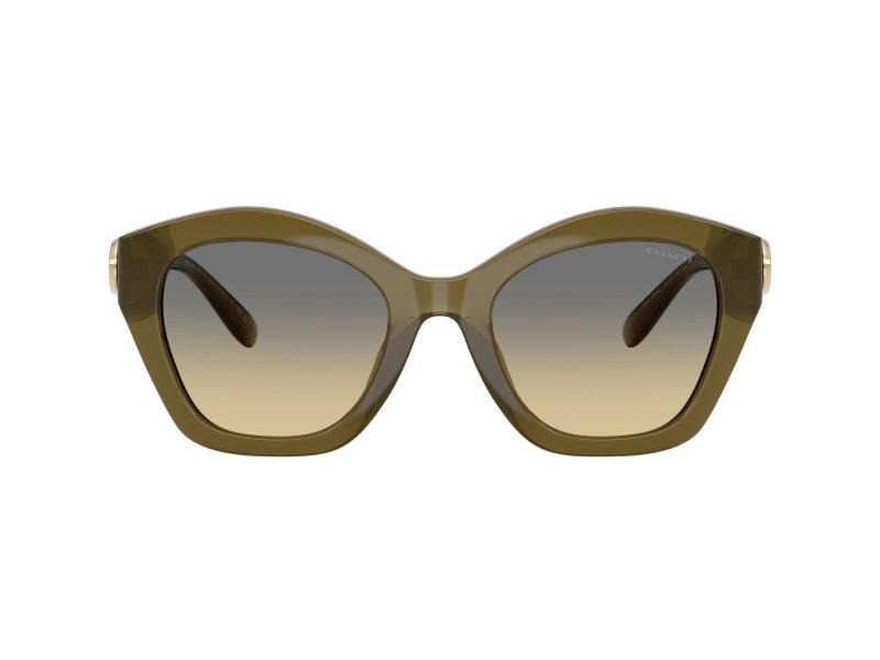 Coach Cad31 Sonnenbrille HC 8421U 5872L0
