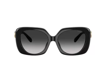 Coach Cad33 Sonnenbrille HC 8422U 50023C