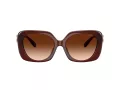 Coach Cad33 Sonnenbrille HC 8422U 584174