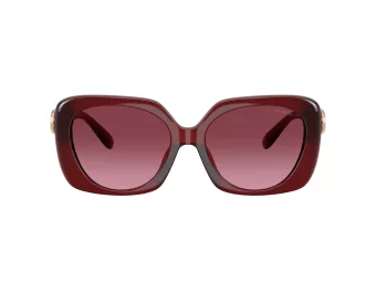 Coach Cad33 Sonnenbrille HC 8422U 58708H