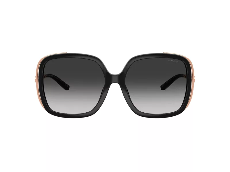 Coach Cad80 Sonnenbrille HC 8423U 50023C
