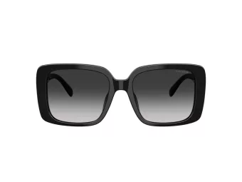 Coach Cad54 Sonnenbrille HC 8424U 50023C