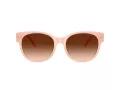 Coach Cae87 Sonnenbrille HC 8430D 511374