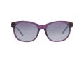 Harley-Davidson Sonnenbrille HD 0307X 81A