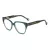 Carolina Herrera Brillen HER 0223 ACK