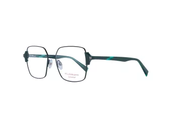 Ana Hickmann Brillen HI 1209 D02