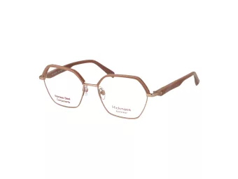 Ana Hickmann Brillen HI 1245 D01