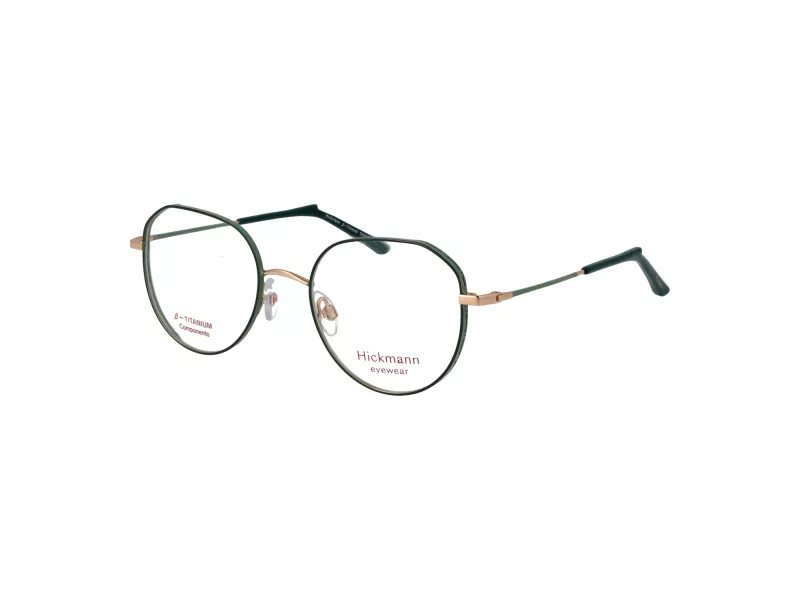 Ana Hickmann Brillen HI 1247T 12A