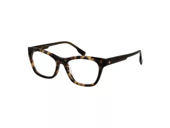 Ana Hickmann Brillen HI 6266 G21