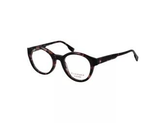 Ana Hickmann Brillen HI 6267 G21