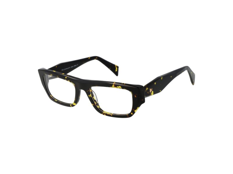 Ana Hickmann Brillen HI 6287 G21