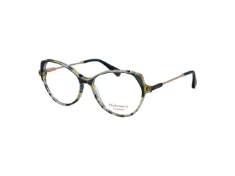 Ana Hickmann Brillen HI 6317 G22