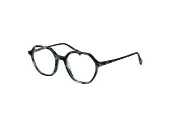 Ana Hickmann Brillen HI 6335 G21