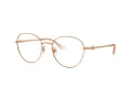 Jimmy Choo Brillen JC 2004HB 3008