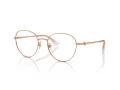 Jimmy Choo Brillen JC 2004HB 3008