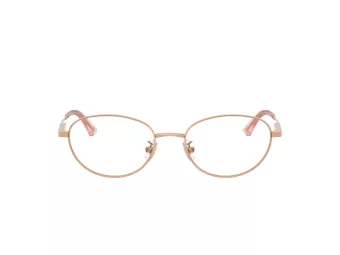 Jimmy Choo Brillen JC 2009D 3008