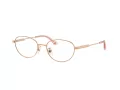 Jimmy Choo Brillen JC 2009D 3008
