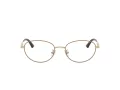 Jimmy Choo Brillen JC 2009D 3019