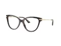 Jimmy Choo Brillen JC 3001B 5002