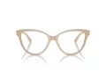 Jimmy Choo Brillen JC 3001B 5015