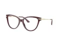 Jimmy Choo Brillen JC 3001B 5018