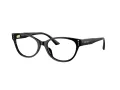 Jimmy Choo Brillen JC 3003BU 5000