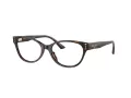 Jimmy Choo Brillen JC 3003BU 5002