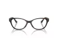 Jimmy Choo Brillen JC 3003BU 5002