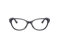 Jimmy Choo Brillen JC 3003BU 5016