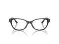 Jimmy Choo Brillen JC 3003BU 5016